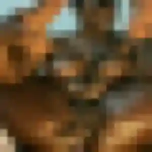 Sexy Helena, 26 ans à Bauvin - voir sa photo