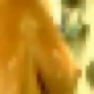 rencontre sexy à Bondues : photo de Vanessa, 21 ans - accès libre