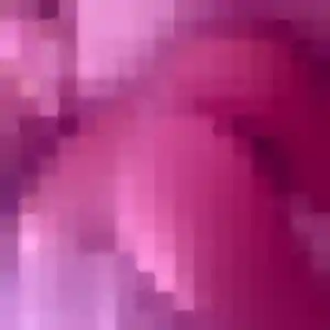 Maeva, 21 ans, cherche un rencontre sexy à Bourbourg