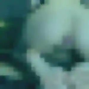 Photo privée de Barbara, 24 ans à Bourg-la-Reine - rencontre sans lendemain