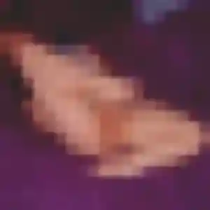 Photo sexy de Cecile, 41 ans à Bruyères-le-Châtel - rencontre coquine