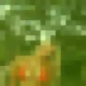 Sophie, 45 ans, cherche un rencontre sexy à Buchelay