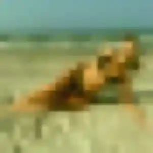 Contacte Doriane, 30 ans à Choisy-le-Roi gratuitement