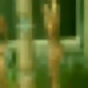 Photo exclusive de Hajar, 41 ans à Clamart - rencontre sans lendemain