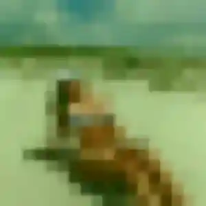 Profil de Sibylle à Dunkerque (35 ans) - rencontre sexy gratuit