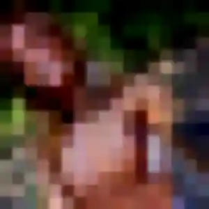 Odile, 44 ans, cherche un rencontre sexy à Évry-Grégy-sur-Yerre