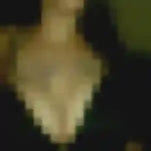 rencontre sexy à Fenain : photo de Sabine, 21 ans - accès libre