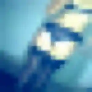 Photo de Pauline à Fouquières-lès-Lens (25 ans) - rencontre sexy gratuit