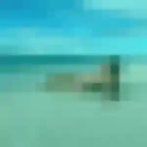 Ibtissam de Hondschoote, 45 ans - rencontre sexy discret