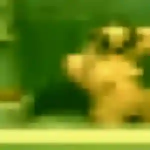 Alix, 44 ans, cherche un rencontre sexy à Houilles