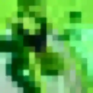 Rosalie, 38 ans, en ligne à Hoymille pour un rencontre sexy