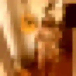 Roxane, fille de 30 ans veut rencontre sexy à Jeumont