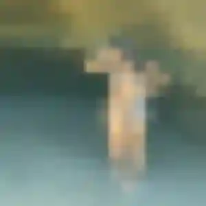 Frederique, 31 ans, dispo pour rencontre sexy à La Chapelle-d'Armentières