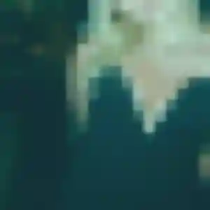 Colombe de Le Mesnil-Saint-Denis, 43 ans - rencontre sexy sans prise de tête