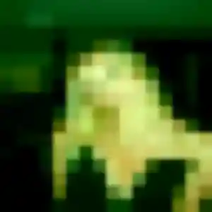 Sexy Ilona, 25 ans à Le Plessis-Pâté - découvrir son profil