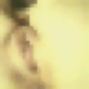Lena, femme de 30 ans cherche rencontre sexy à Lecelles