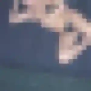 Garance, femme de 33 ans cherche rencontre sexy à Les Mureaux