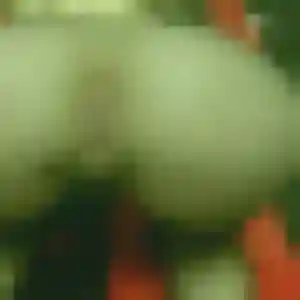 Sibylle de Linas, 31 ans - rencontre sexy discret