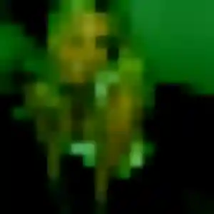 Djamila, femme de 38 ans veut rencontre sexy à Mandres-les-Roses