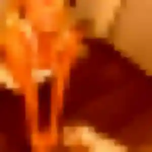 Sexy Penelope, 23 ans à Marly-la-Ville - découvrir son profil