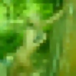 Photo exclusive de Cecile, 32 ans à Menucourt - plan discret