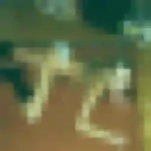 Photo sexy de Romina, 24 ans à Mouy - rencontre coquine