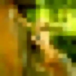 Photo perso de Anne-Sophie, 42 ans à Nanterre - plan discret
