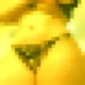 Photo perso de Delia, 44 ans à Nanteuil-le-Haudouin - rencontre coquine