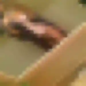 Anne-Laure, fille de 19 ans cherche rencontre sexy à Onnaing
