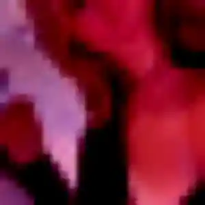 Photo perso de Ursula, 35 ans à Palaiseau - rencontre coquine