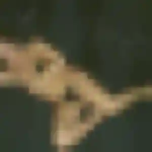 Melodie, fille de 41 ans cherche rencontre sexy à Ris-Orangis