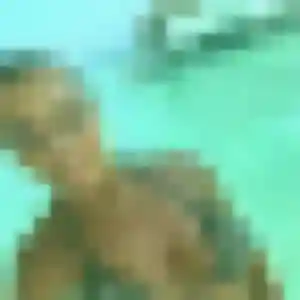 Vinciane, 22 ans, connectée à Roubaix pour un rencontre sexy