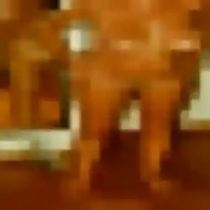 Sexy Uranie, 28 ans à Sainte-Catherine - voir sa photo