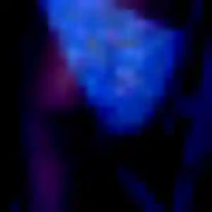 Quitterie, 40 ans, cherche un rencontre sexy à Senlis