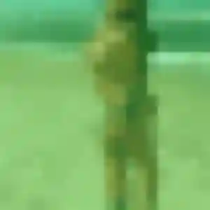 Ameline, 34 ans, cherche un rencontre sexy à Sèvres