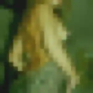 Profil de Isabelle à Souppes-sur-Loing (19 ans) - rencontre sexy anonyme