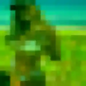 Photo exclusive de Ximena, 40 ans à Templemars - rencontre coquine