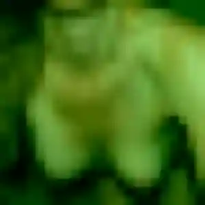Photo privée de Florence, 30 ans à Viarmes - rencontre coquine