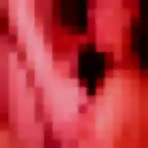 Rejoins Rosemarie, 26 ans à Wambrechies en privé
